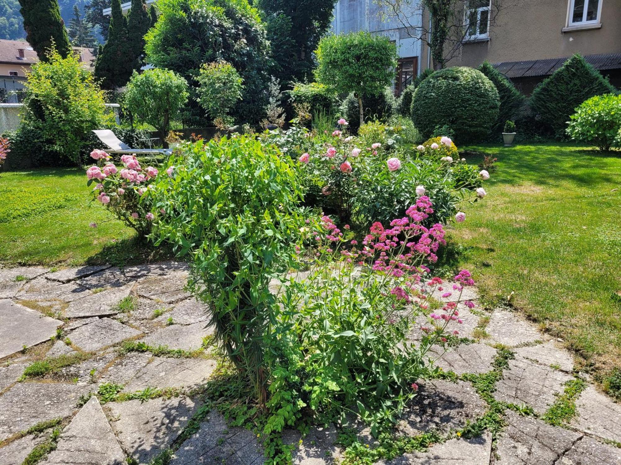 Les Colibris - Standing Et Jardin - 3 Etoiles Apartment Cluses Exterior photo
